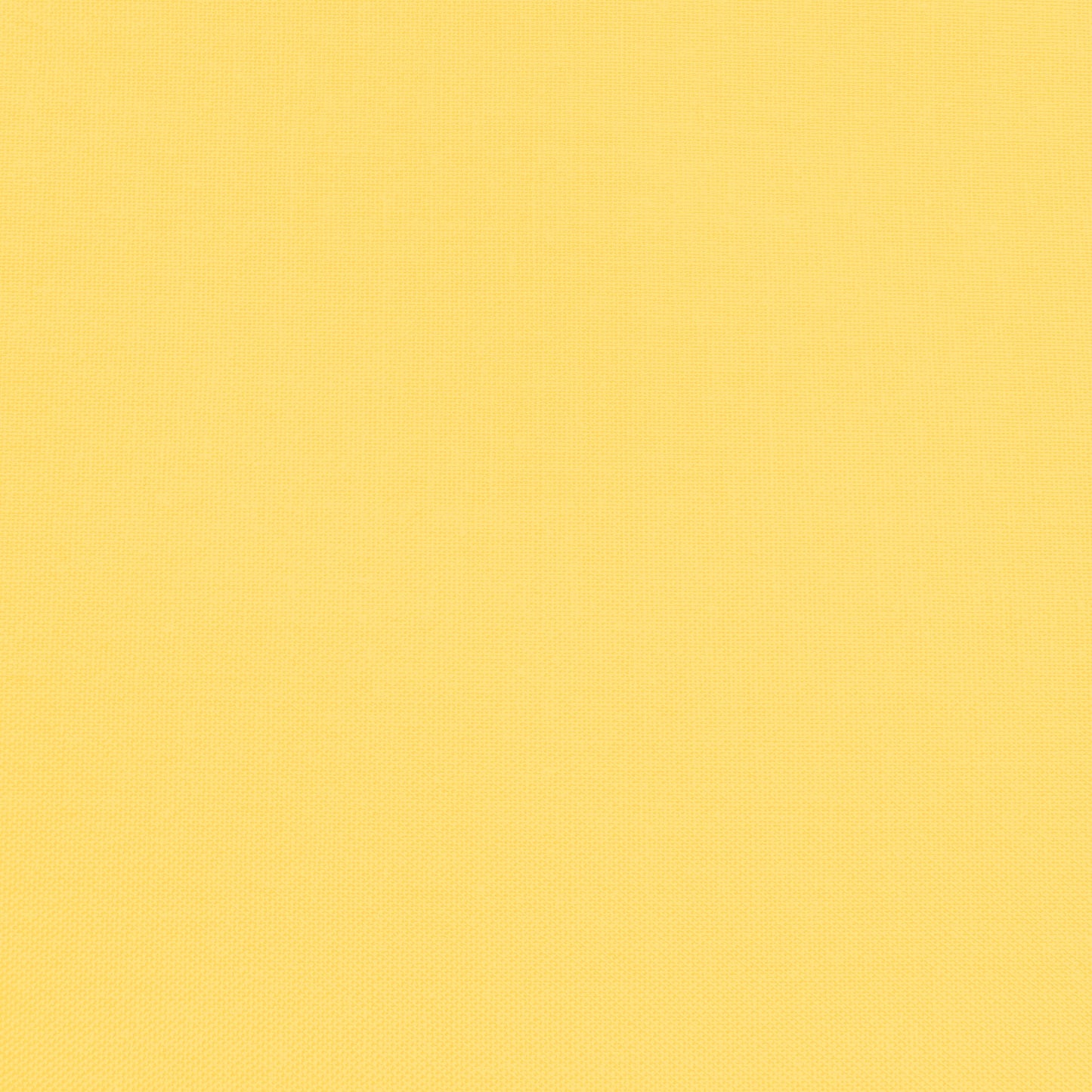 Confetti Cotton - Dandelions - Sewfinity.com