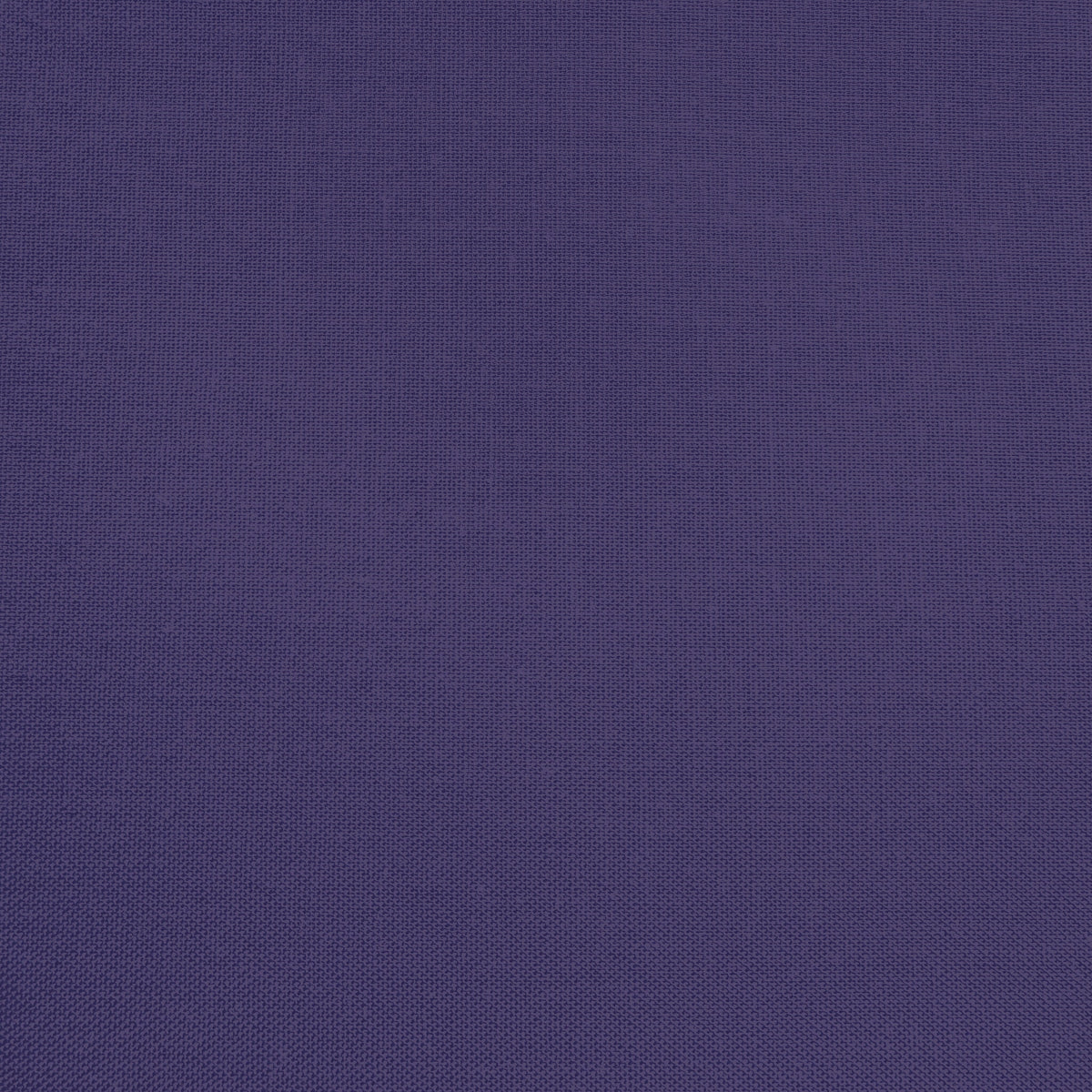 Confetti Cotton - Eggplant - Sewfinity.com