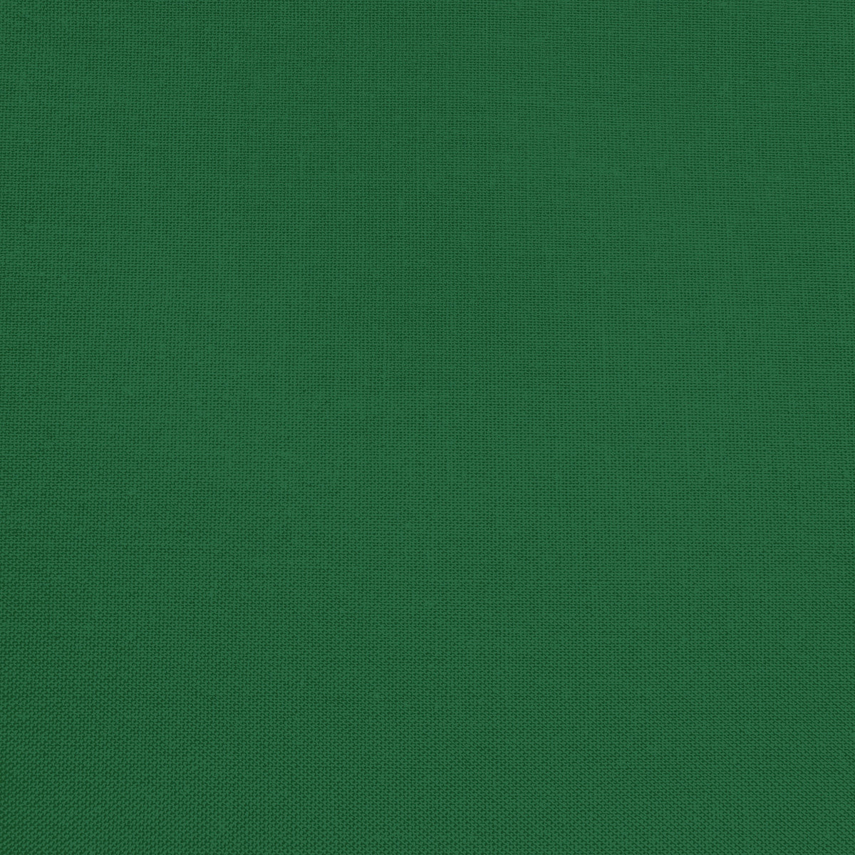 Confetti Cotton - Forest - Sewfinity.com