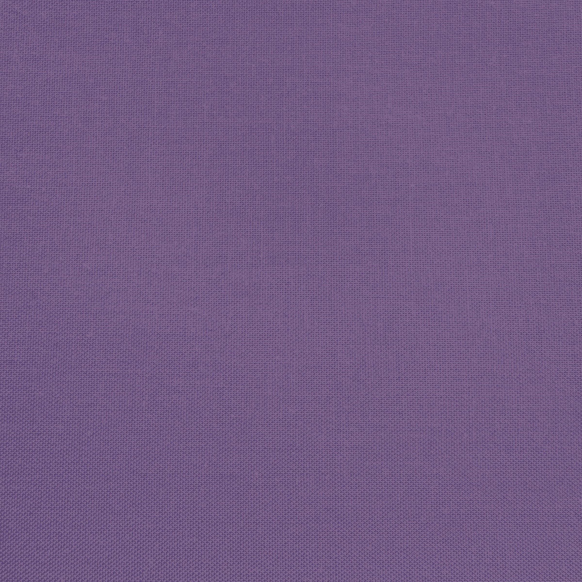 Confetti Cotton - Grape - Sewfinity.com