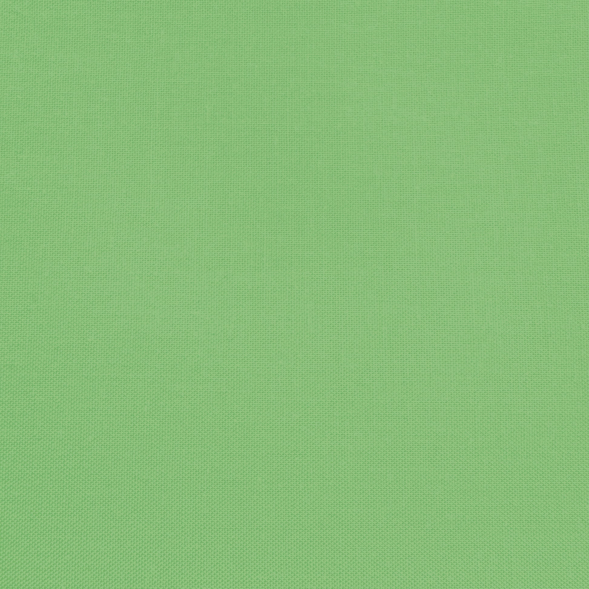 Confetti Cotton - Grass - Sewfinity.com