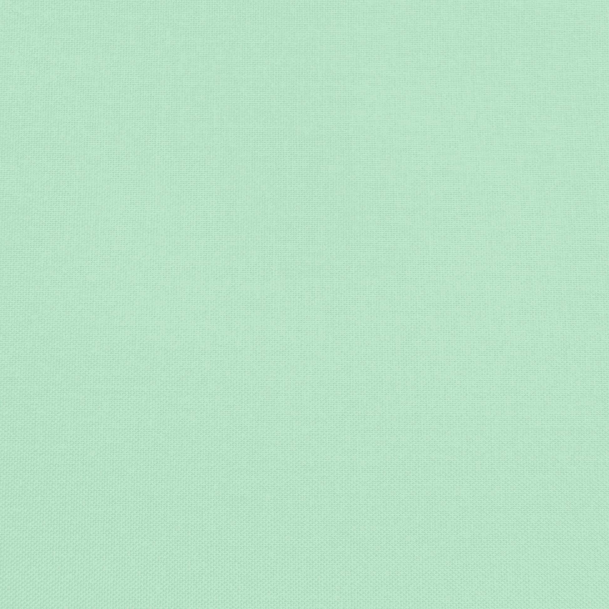 Confetti Cotton - Hint of Mint - Sewfinity.com