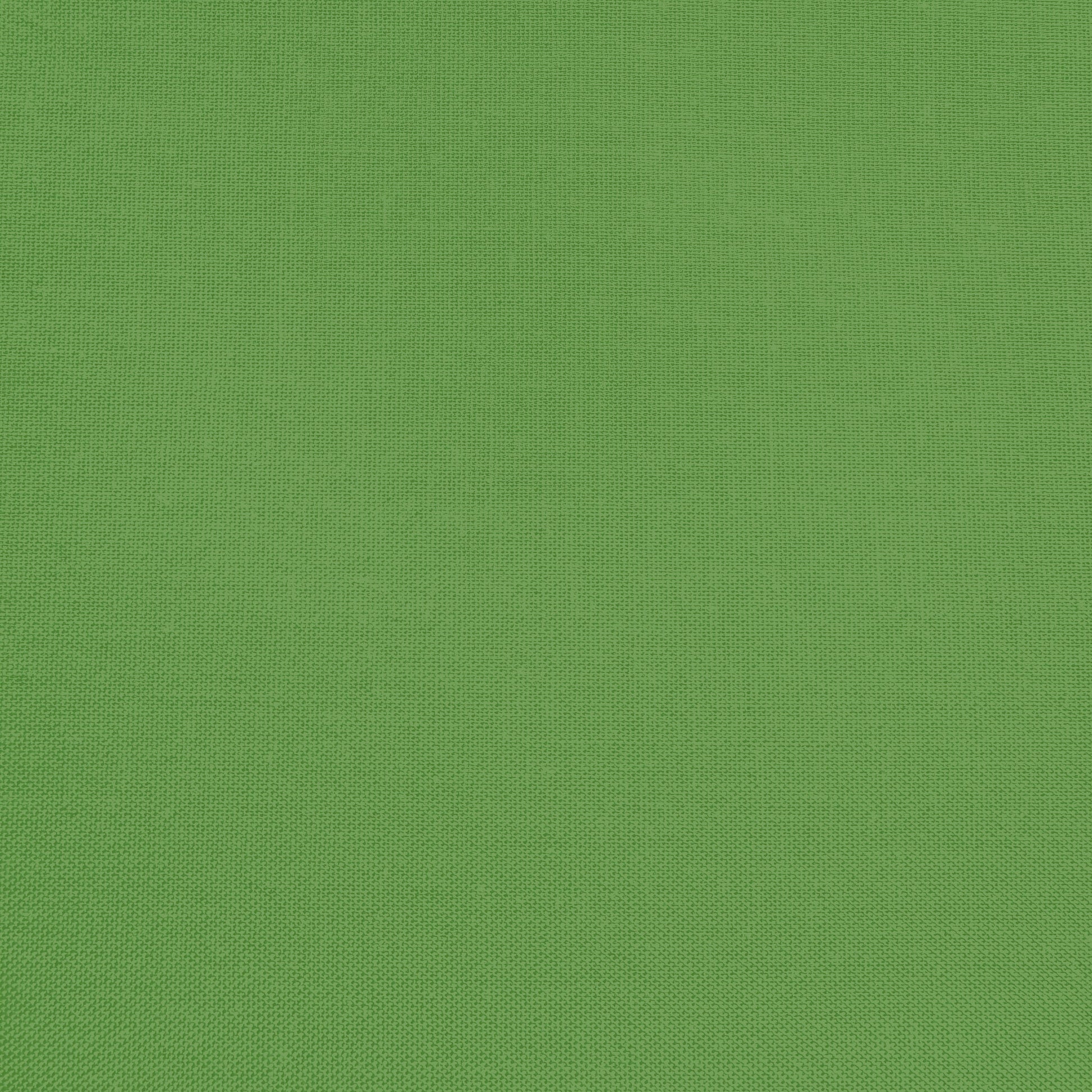Confetti Cotton - Holly - Sewfinity.com