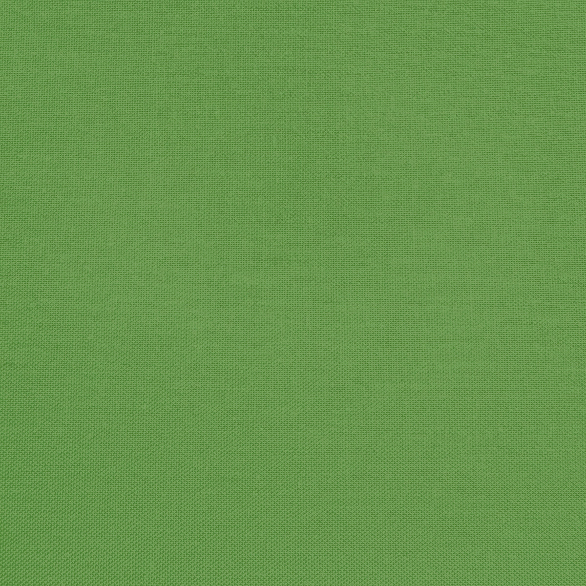 Confetti Cotton - Holly - Sewfinity.com