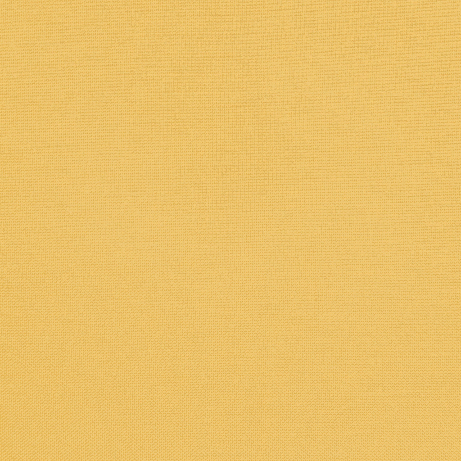 Confetti Cotton - Honey - Sewfinity.com