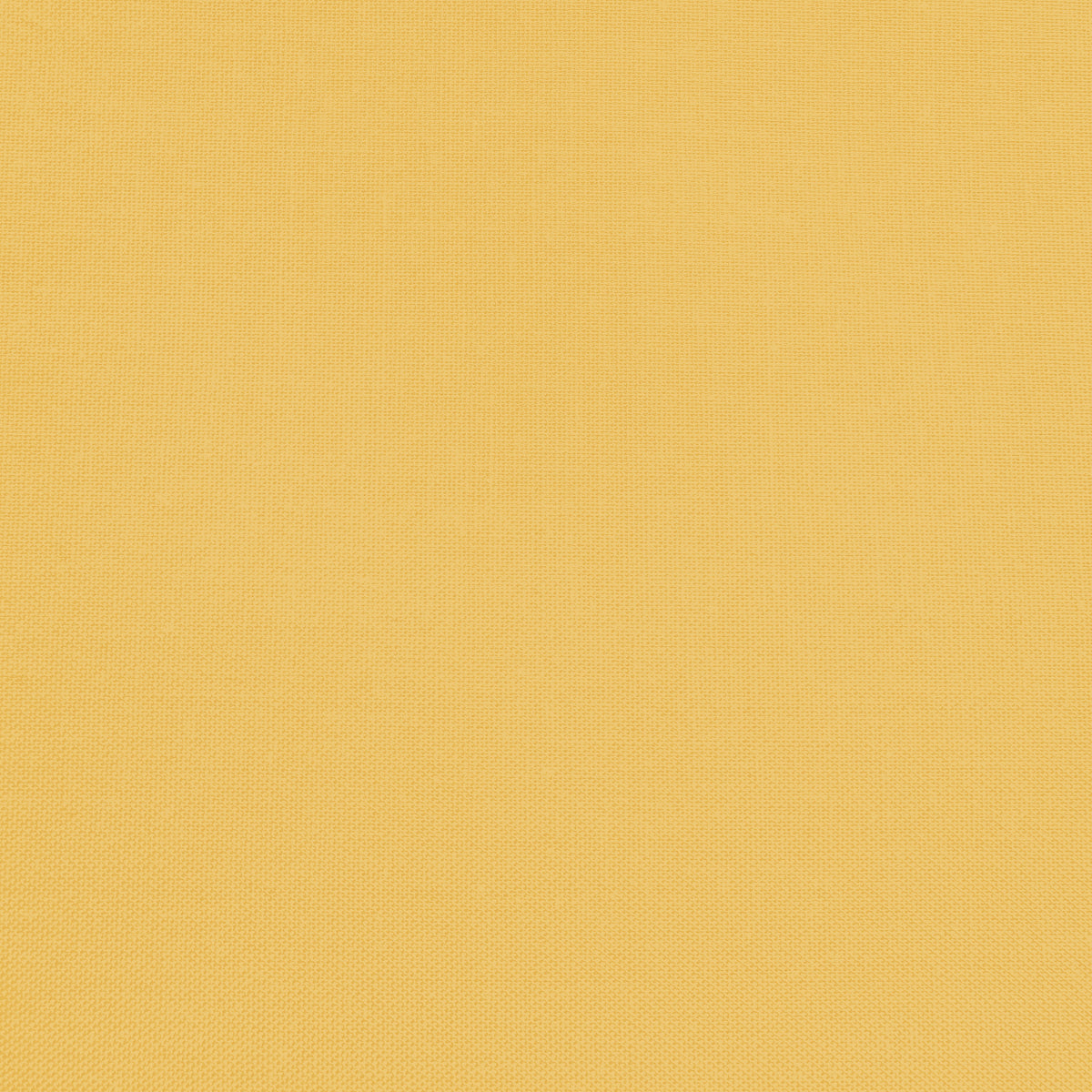 Confetti Cotton - Honey - Sewfinity.com