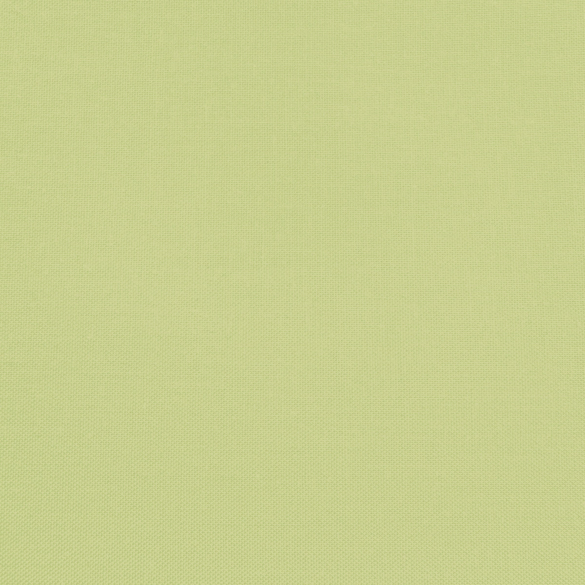 Confetti Cotton - Honeydew - Sewfinity.com
