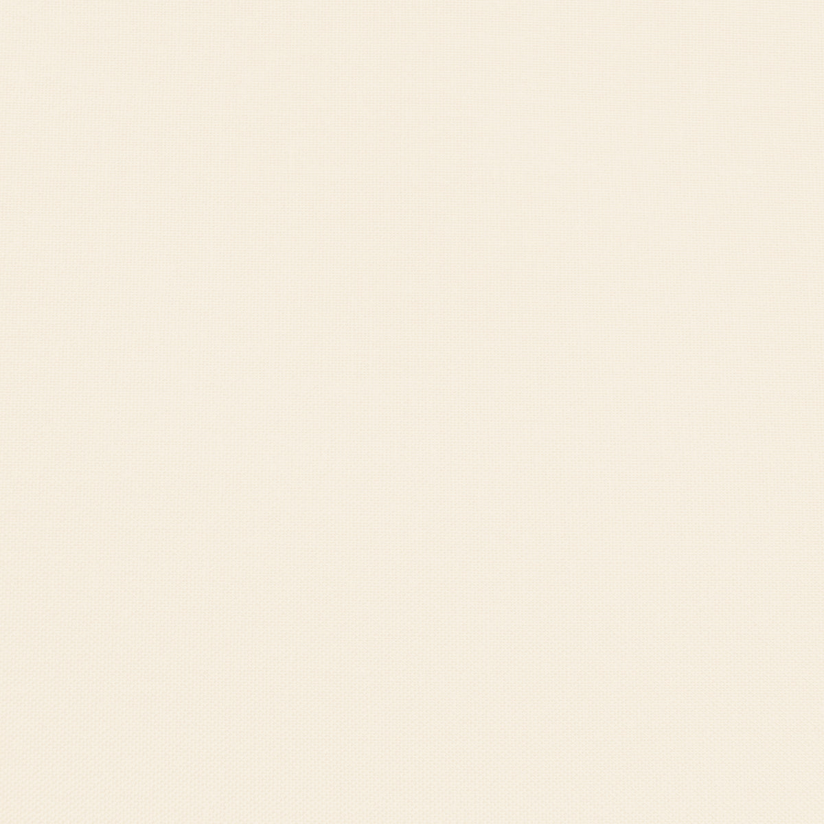 Confetti Cotton - Ivory - Sewfinity.com
