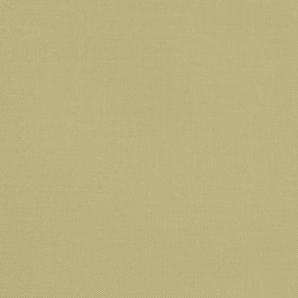 Confetti Cotton - Lemongrass - Sewfinity.com