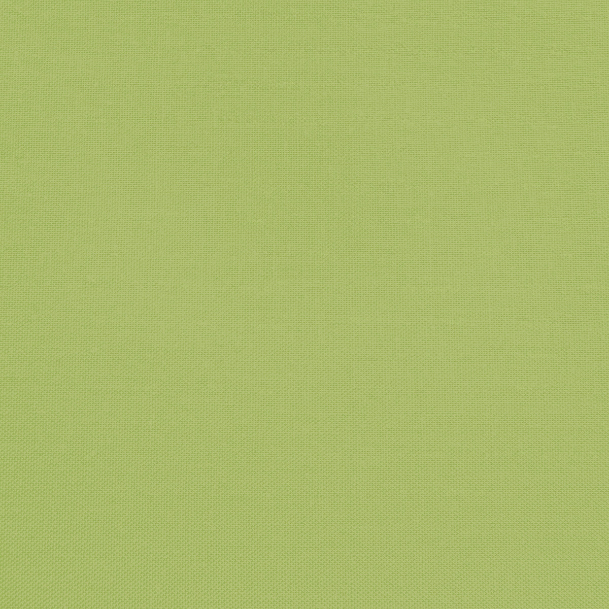 Confetti Cotton - Lettuce - Sewfinity.com