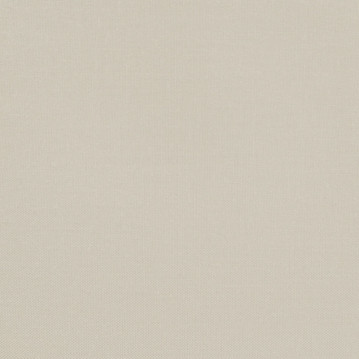 Confetti Cotton - Light Gray - Sewfinity.com