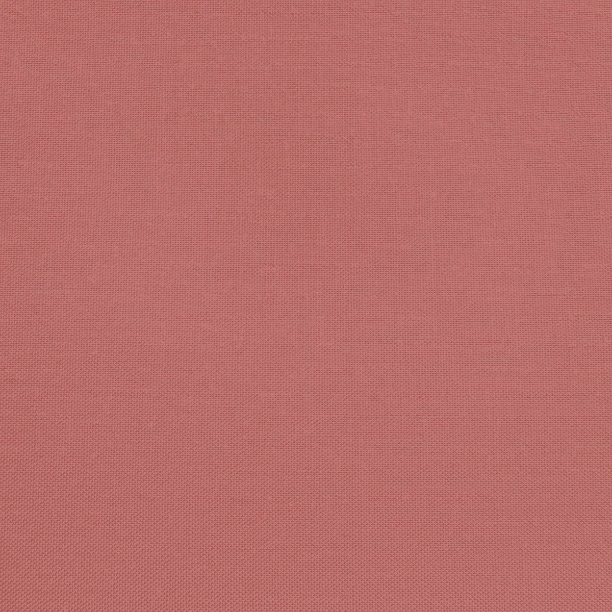 Confetti Cotton - Marsala - Sewfinity.com
