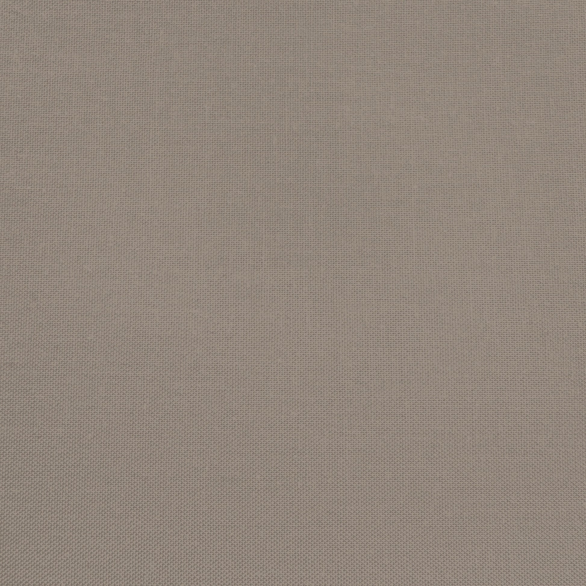 Confetti Cotton - Mink - Sewfinity.com