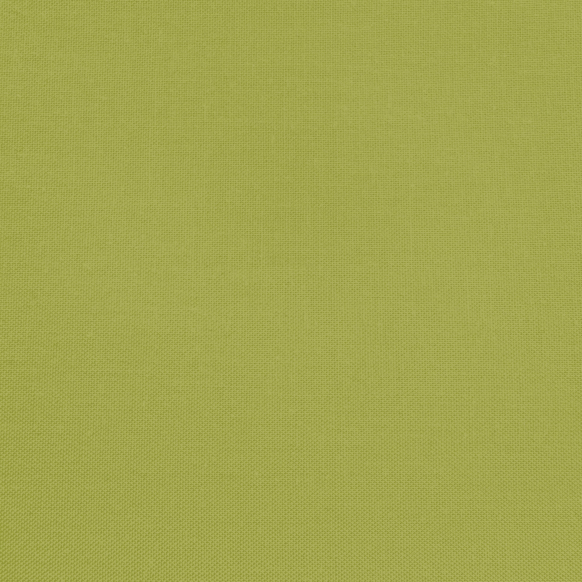 Confetti Cotton - Moss - Sewfinity.com
