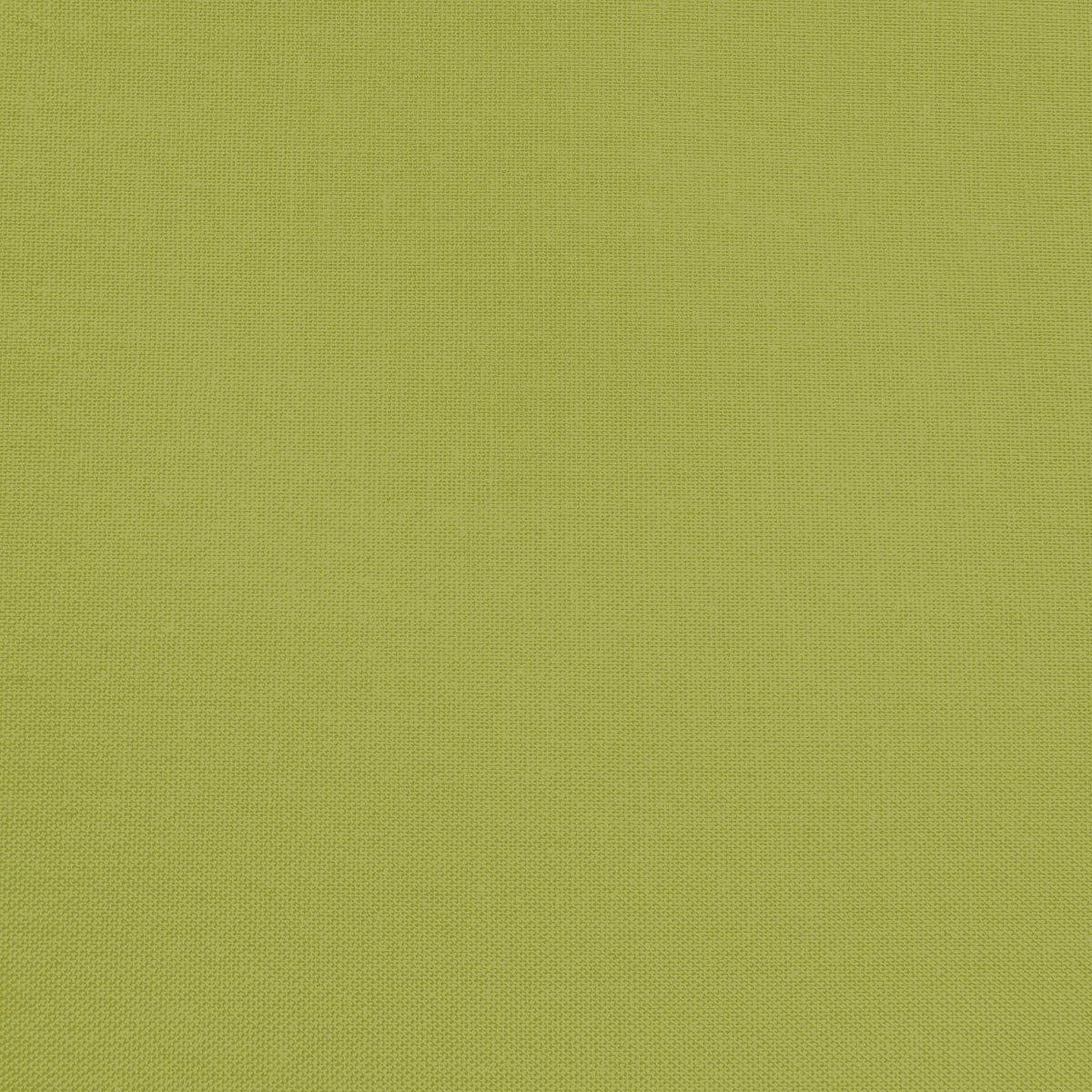 Confetti Cotton - Moss - Sewfinity.com