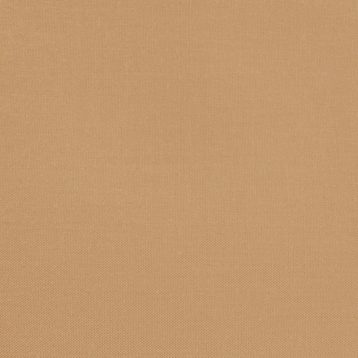 Confetti Cotton - Nutmeg - Sewfinity.com