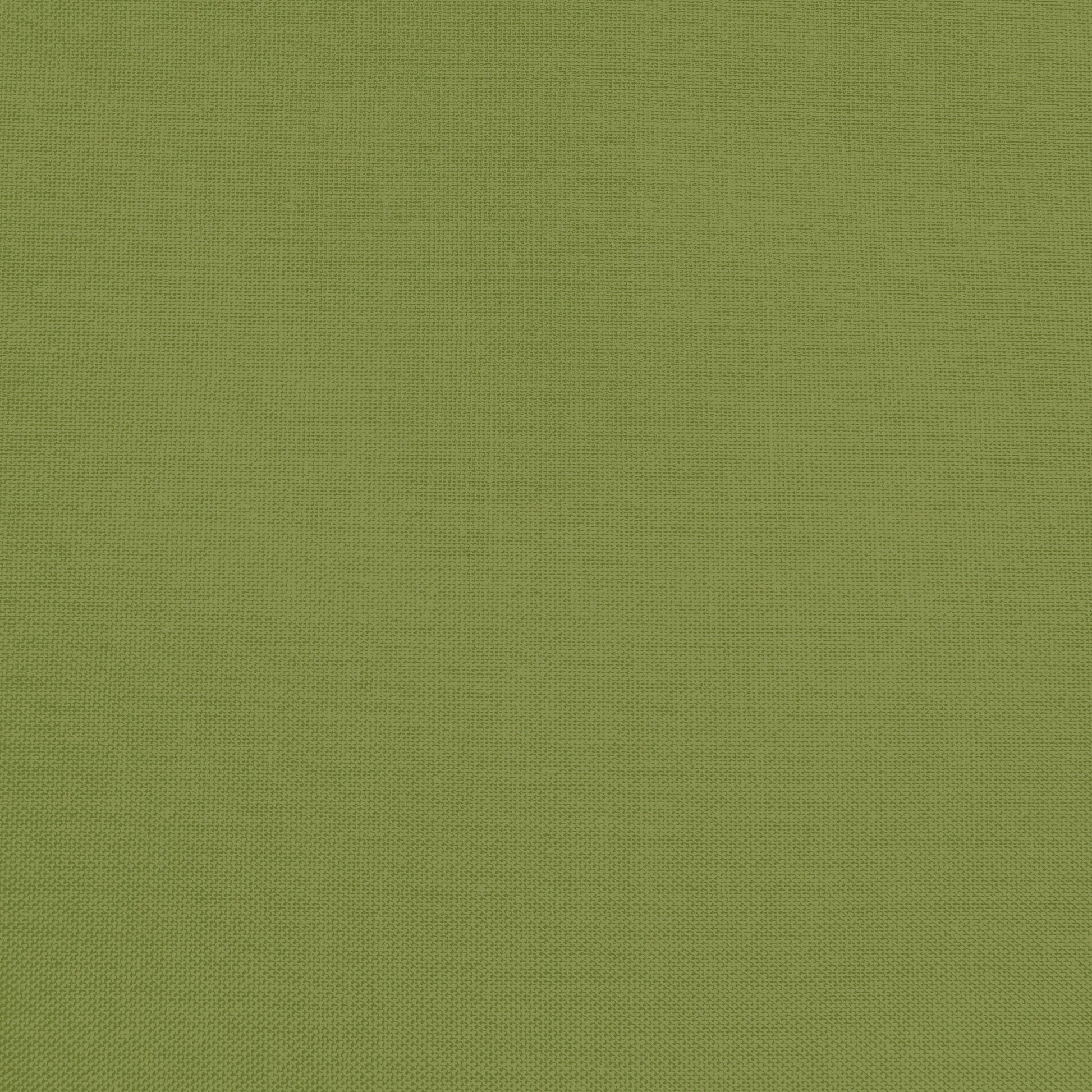 Confetti Cotton - Olive - Sewfinity.com