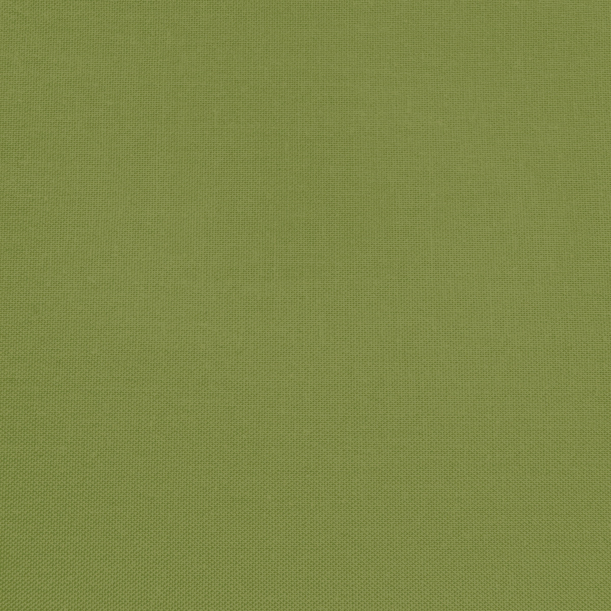 Confetti Cotton - Olive - Sewfinity.com