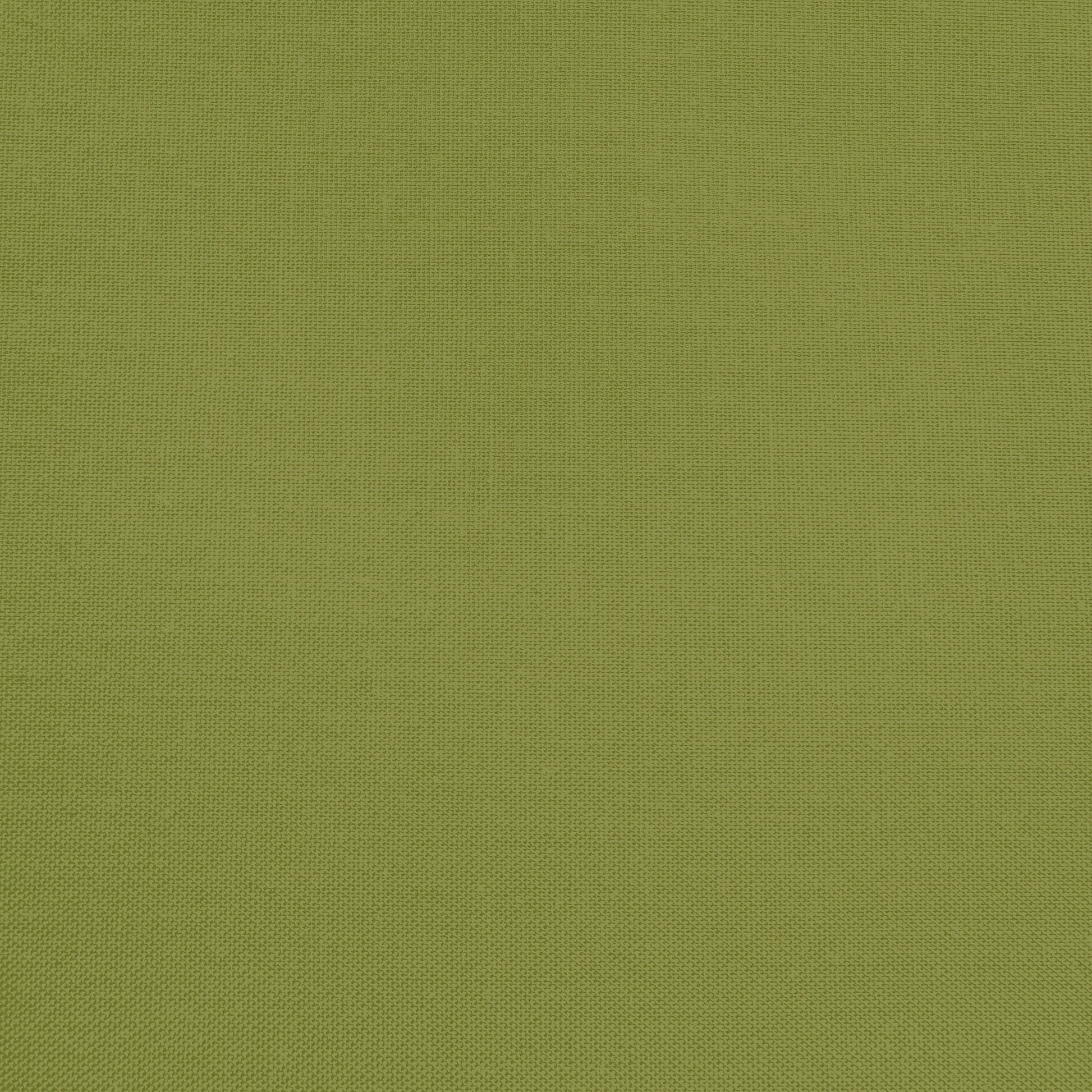 Confetti Cotton - Parsley - Sewfinity.com