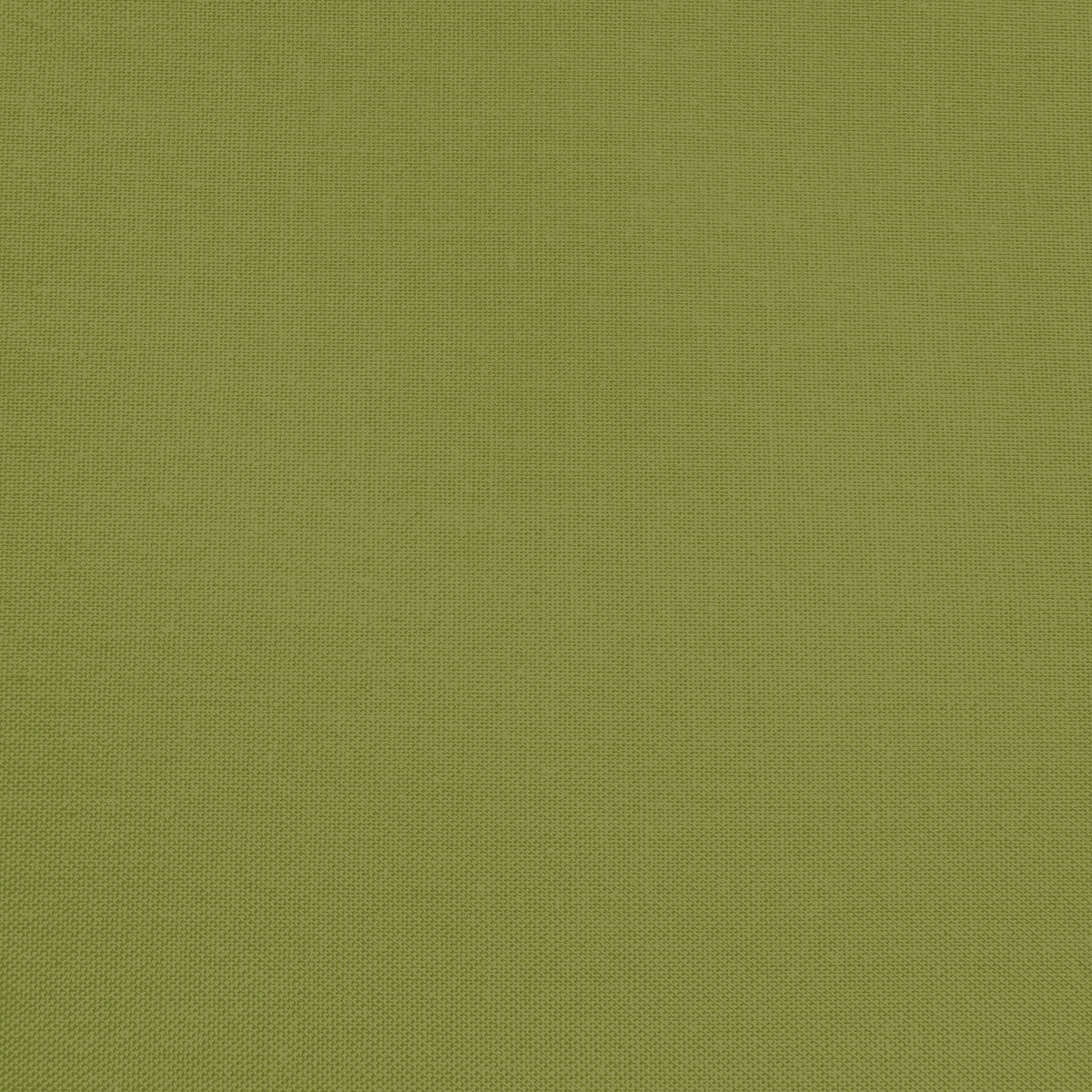 Confetti Cotton - Parsley - Sewfinity.com