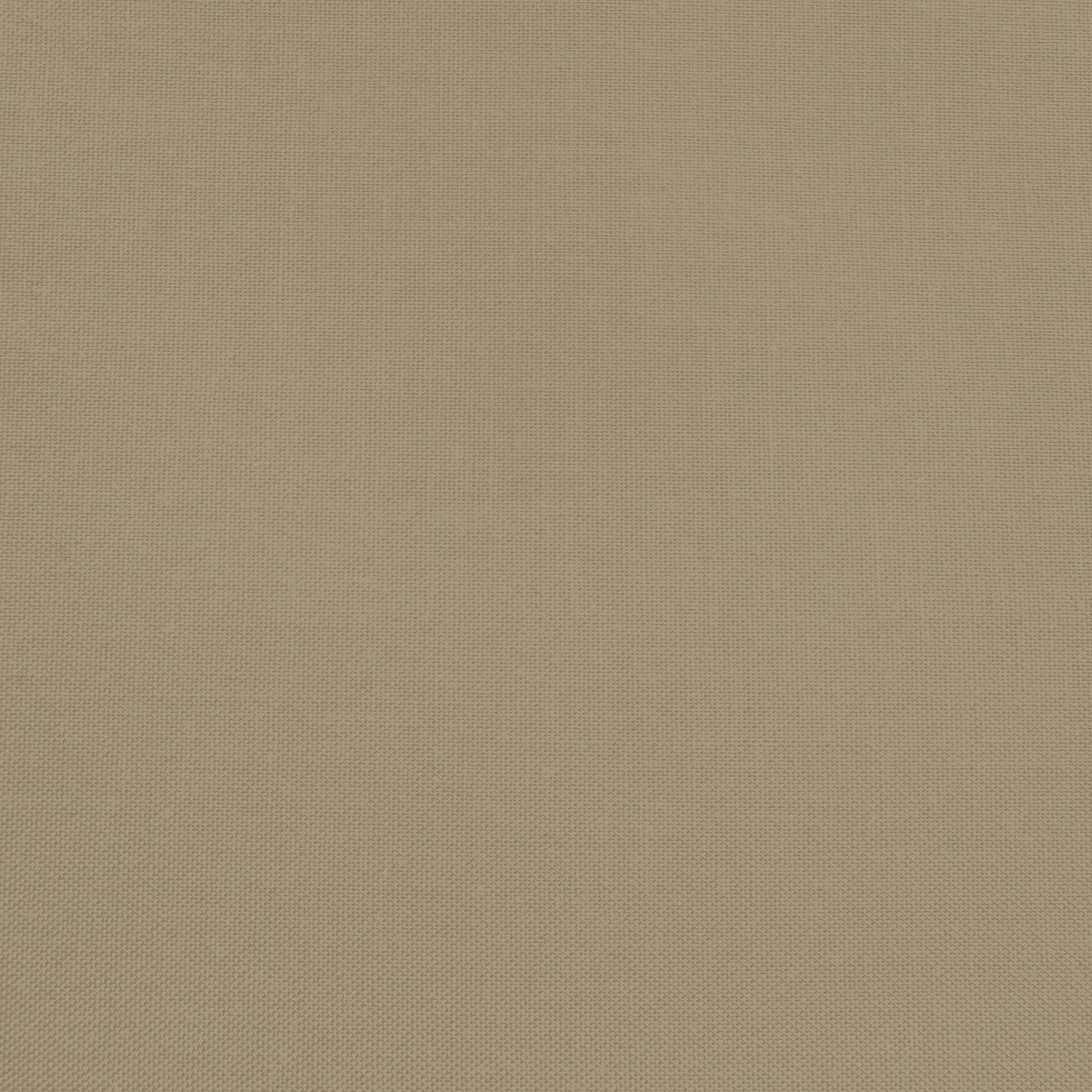 Confetti Cotton - Pebble - Sewfinity.com