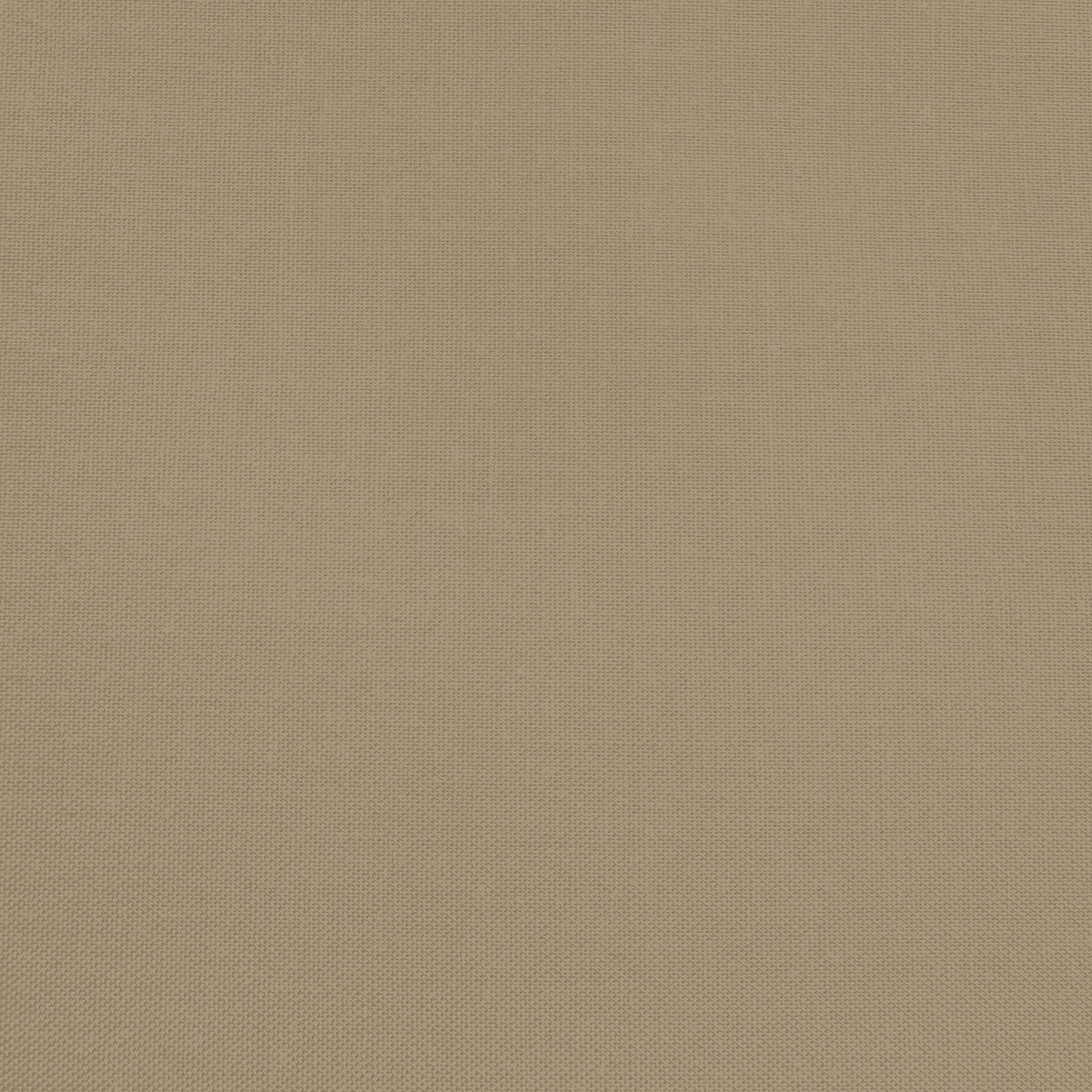 Confetti Cotton - Pebble - Sewfinity.com