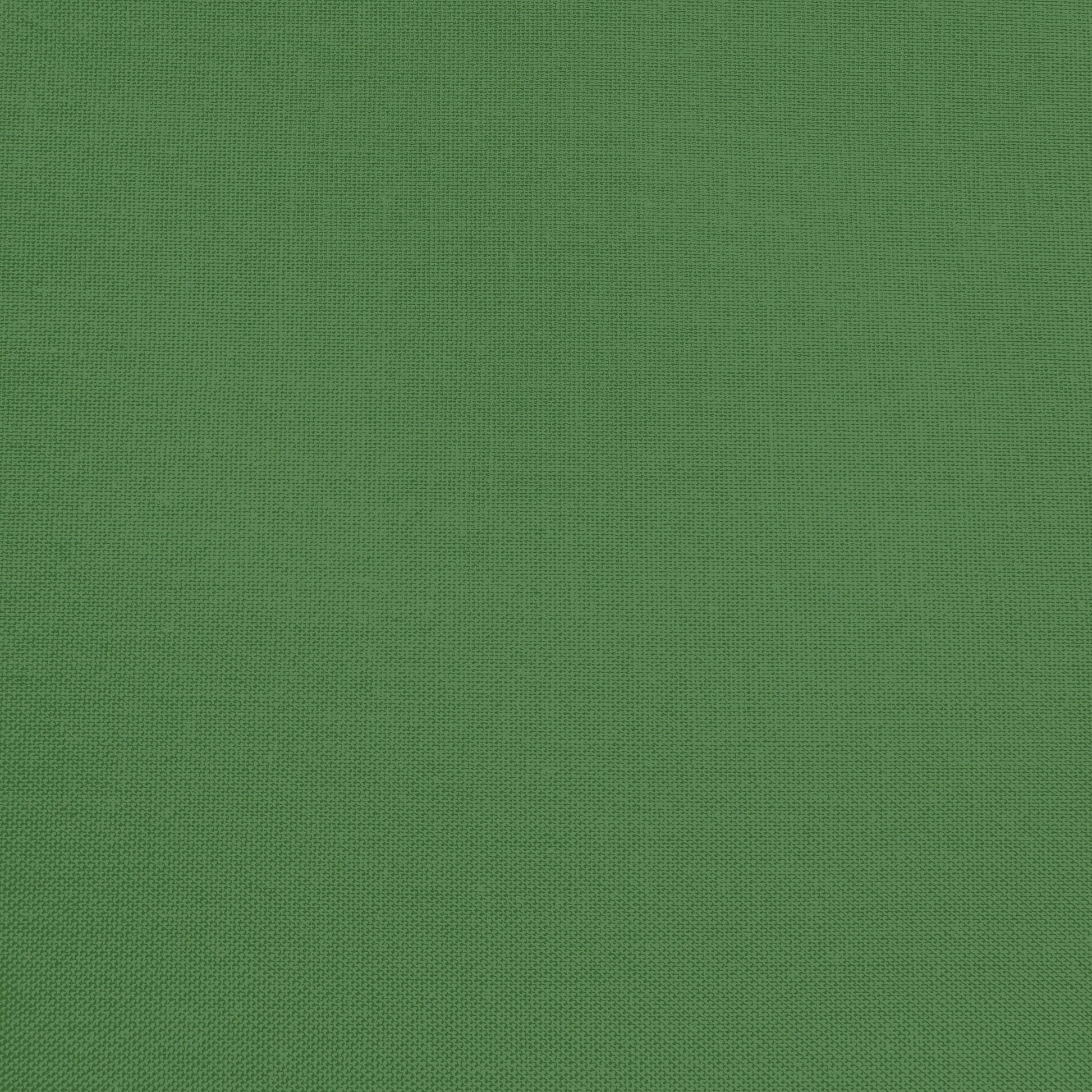 Confetti Cotton - Pickle - Sewfinity.com