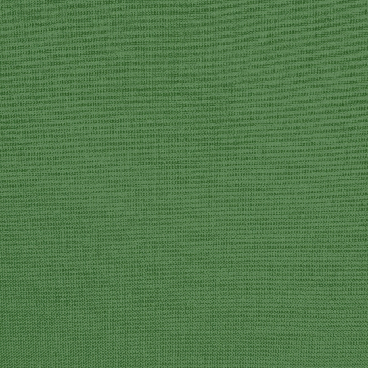 Confetti Cotton - Pickle - Sewfinity.com