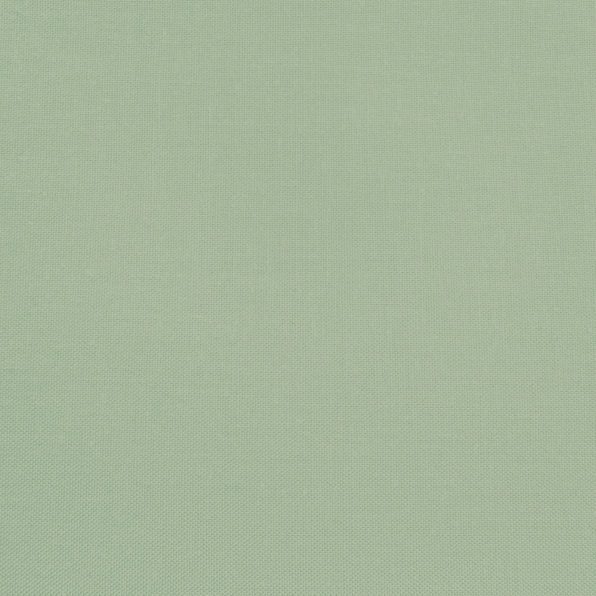Confetti Cotton - Pistachio - Sewfinity.com