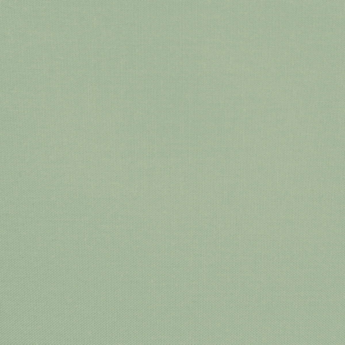Confetti Cotton - Pistachio - Sewfinity.com