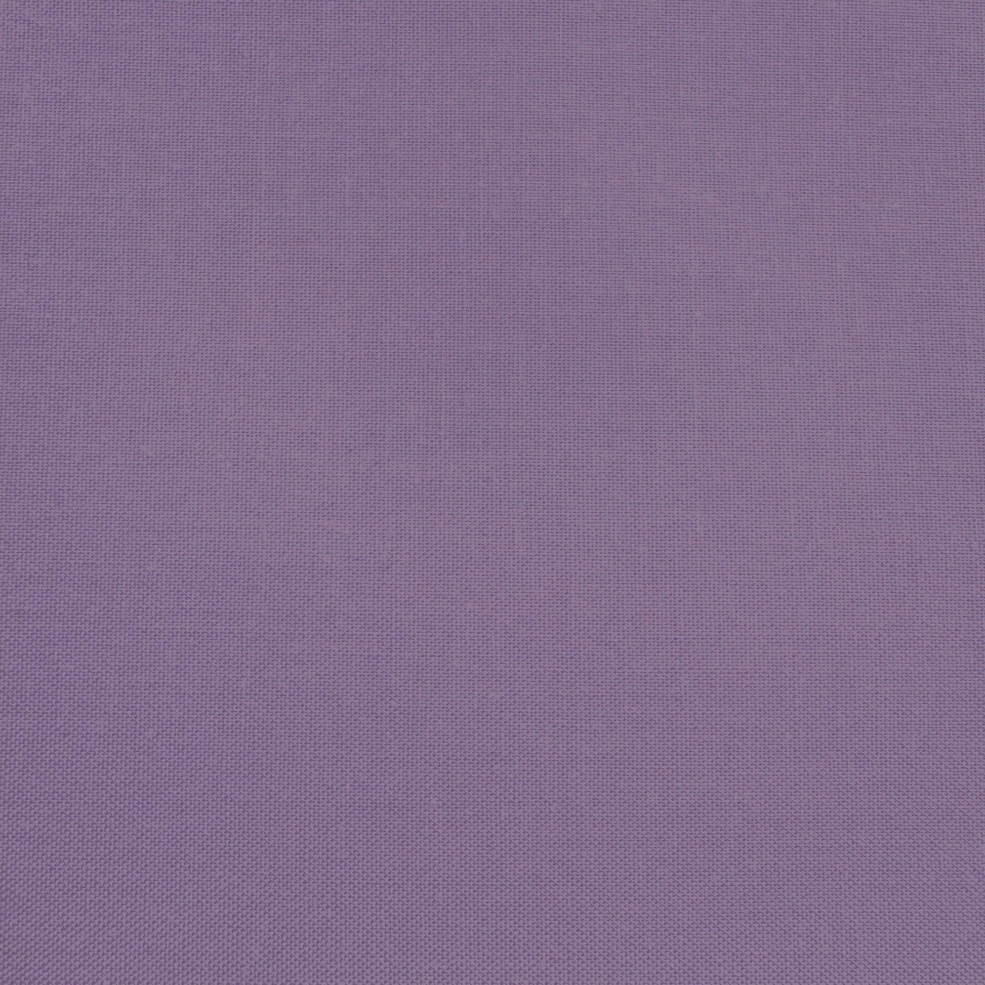 Confetti Cotton - Plum - Sewfinity.com