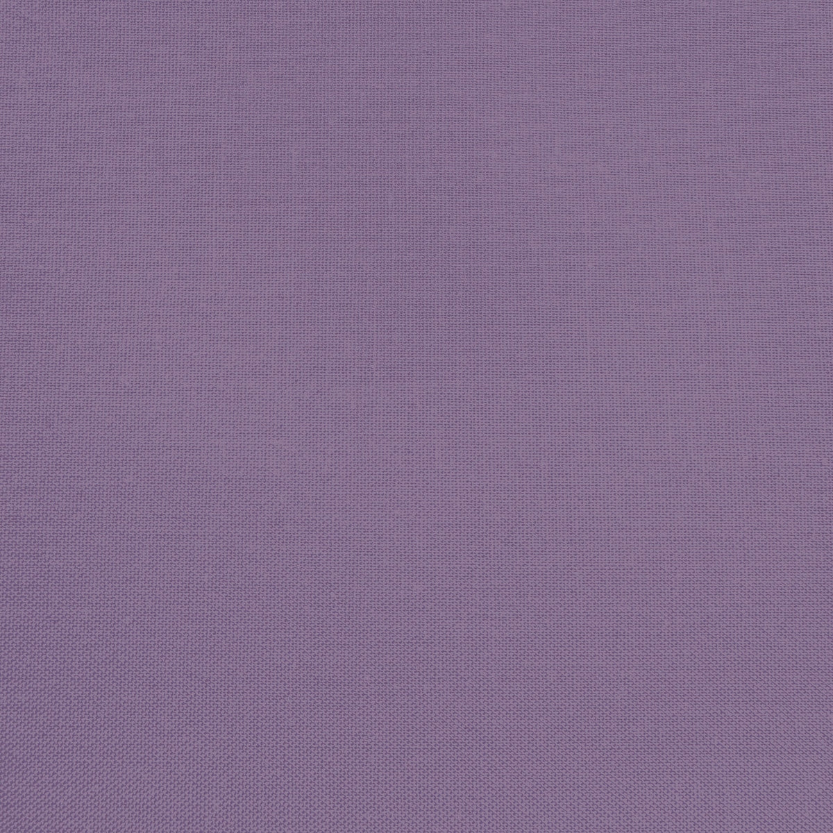 Confetti Cotton - Plum - Sewfinity.com
