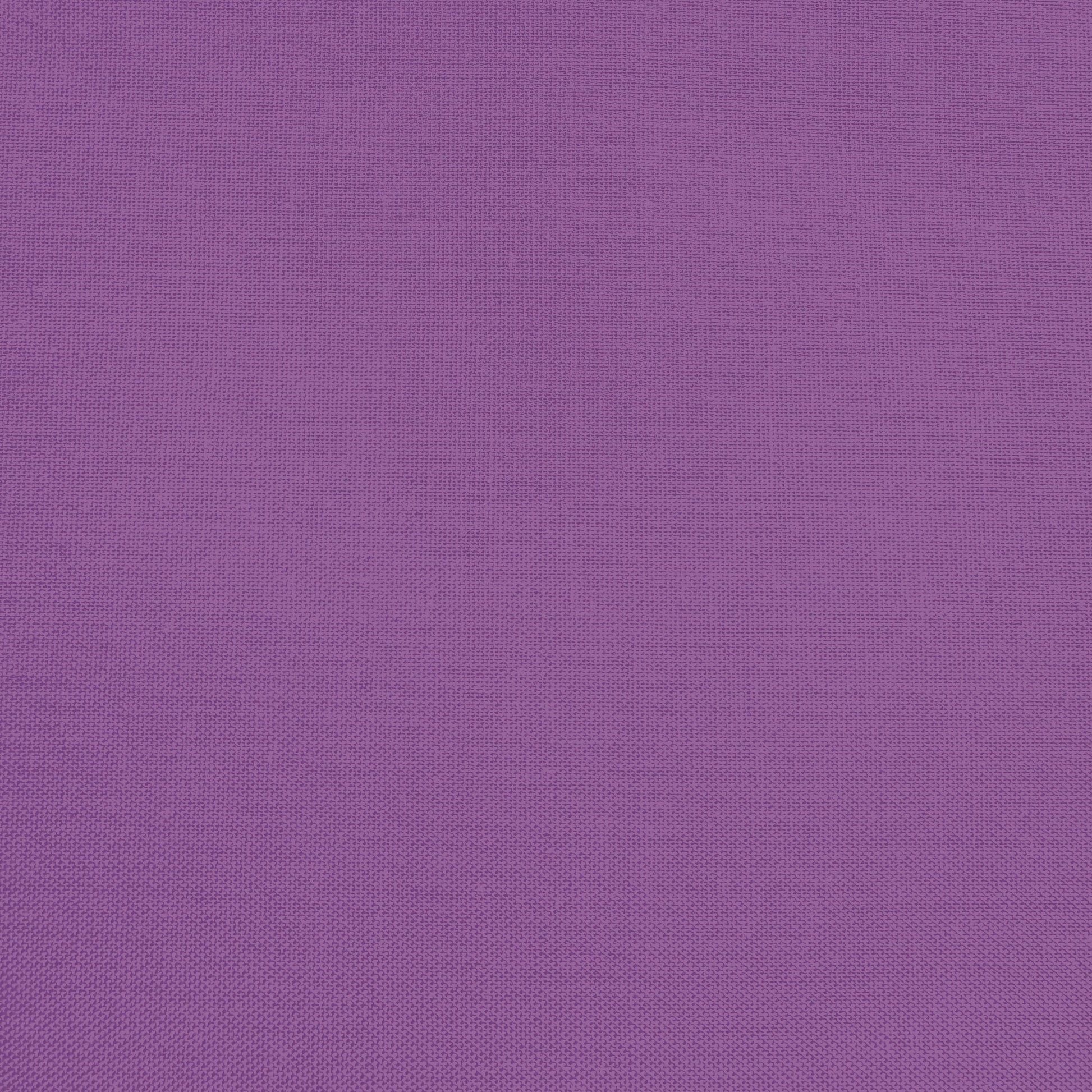 Confetti Cotton - Purple - Sewfinity.com