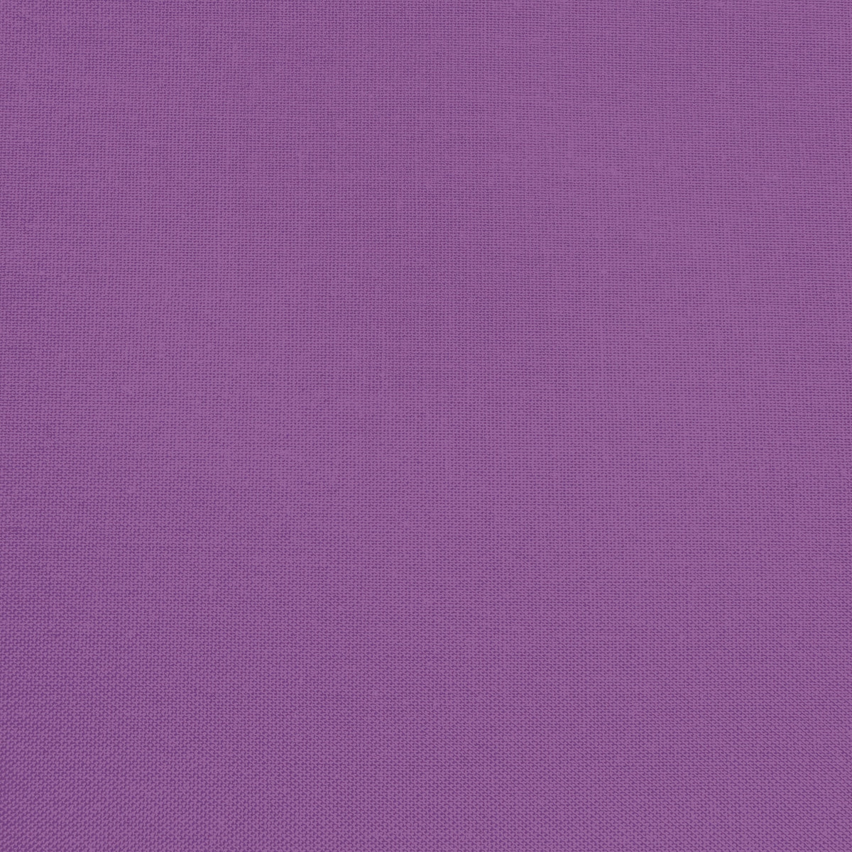 Confetti Cotton - Purple - Sewfinity.com