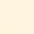 Confetti Cotton - Putty - Sewfinity.com