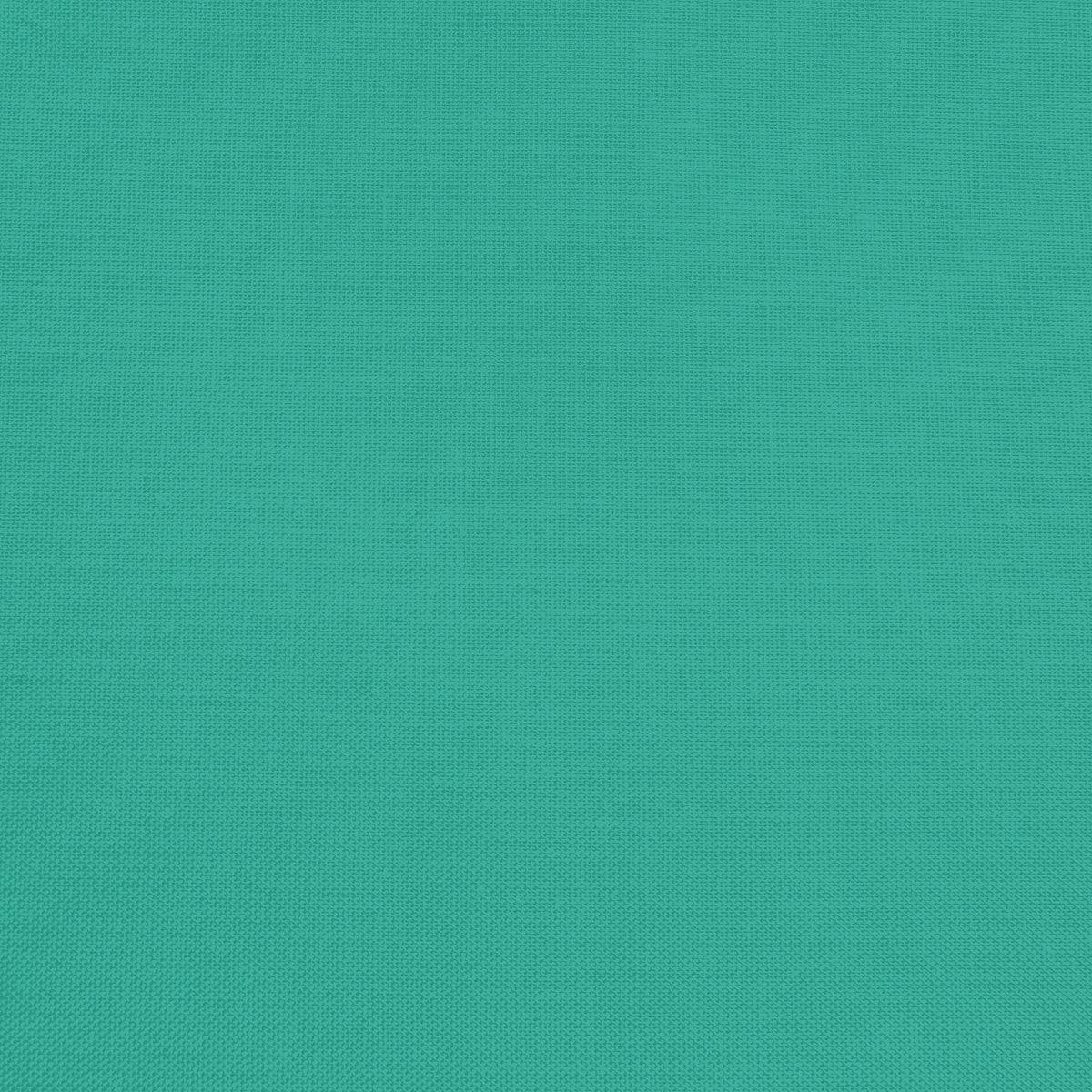 Confetti Cotton - Rainforest - Sewfinity.com