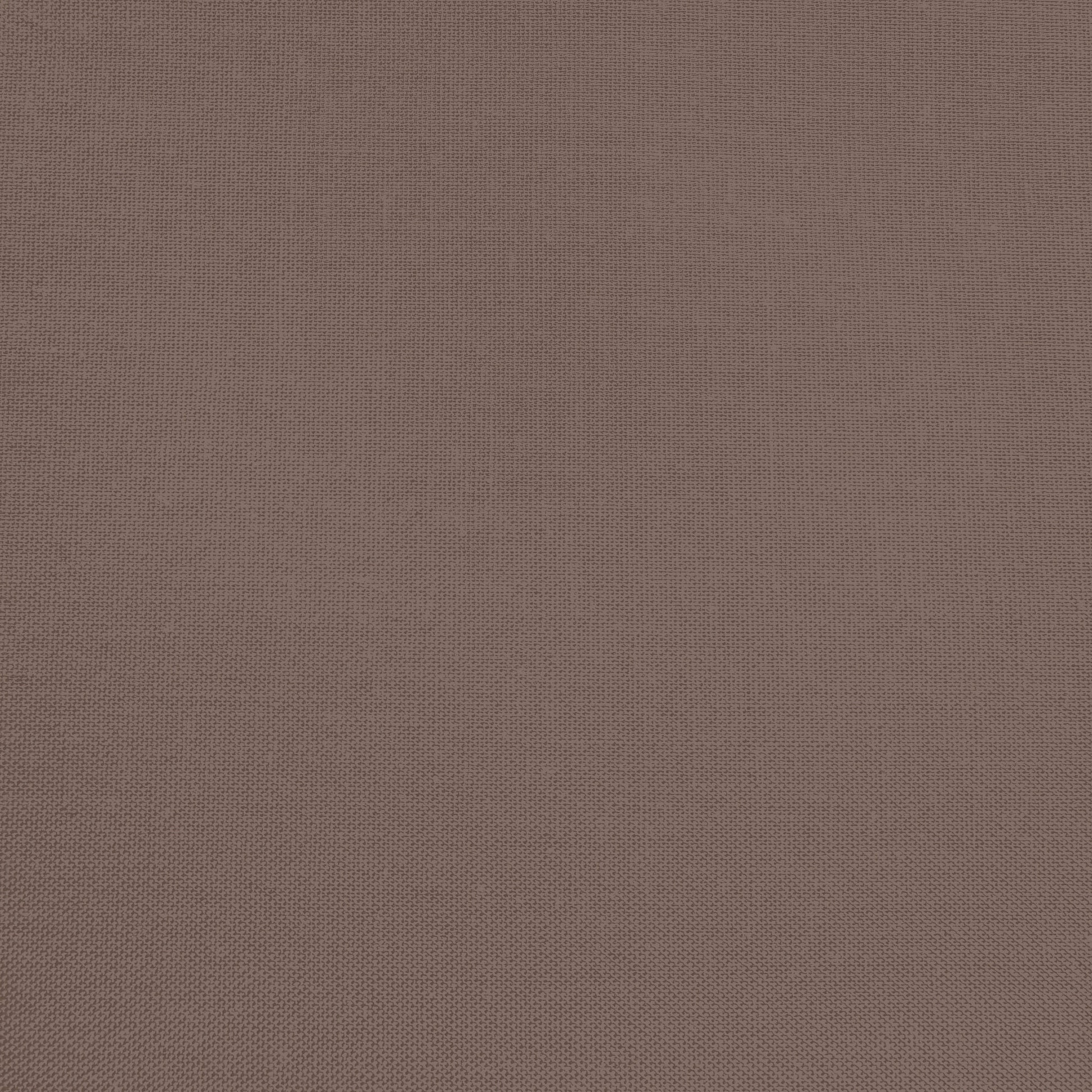 Confetti Cotton - Raisin - Sewfinity.com