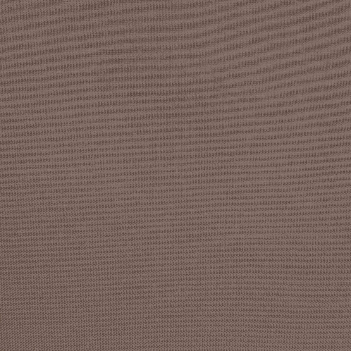 Confetti Cotton - Raisin - Sewfinity.com