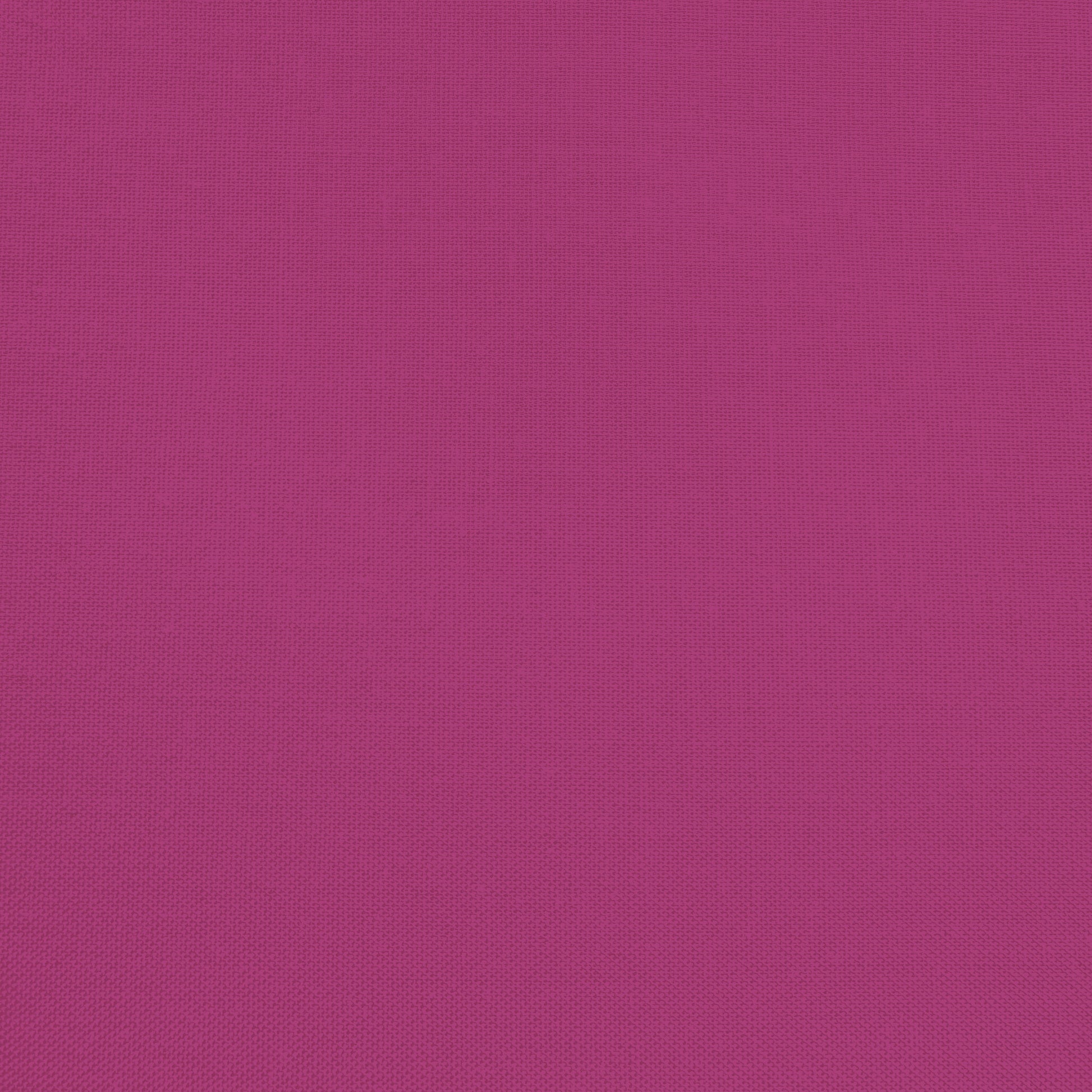 Confetti Cotton - Riley Fuchsia - Sewfinity.com