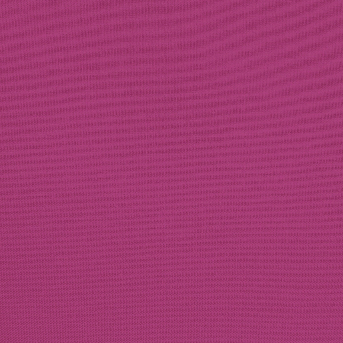 Confetti Cotton - Riley Fuchsia - Sewfinity.com