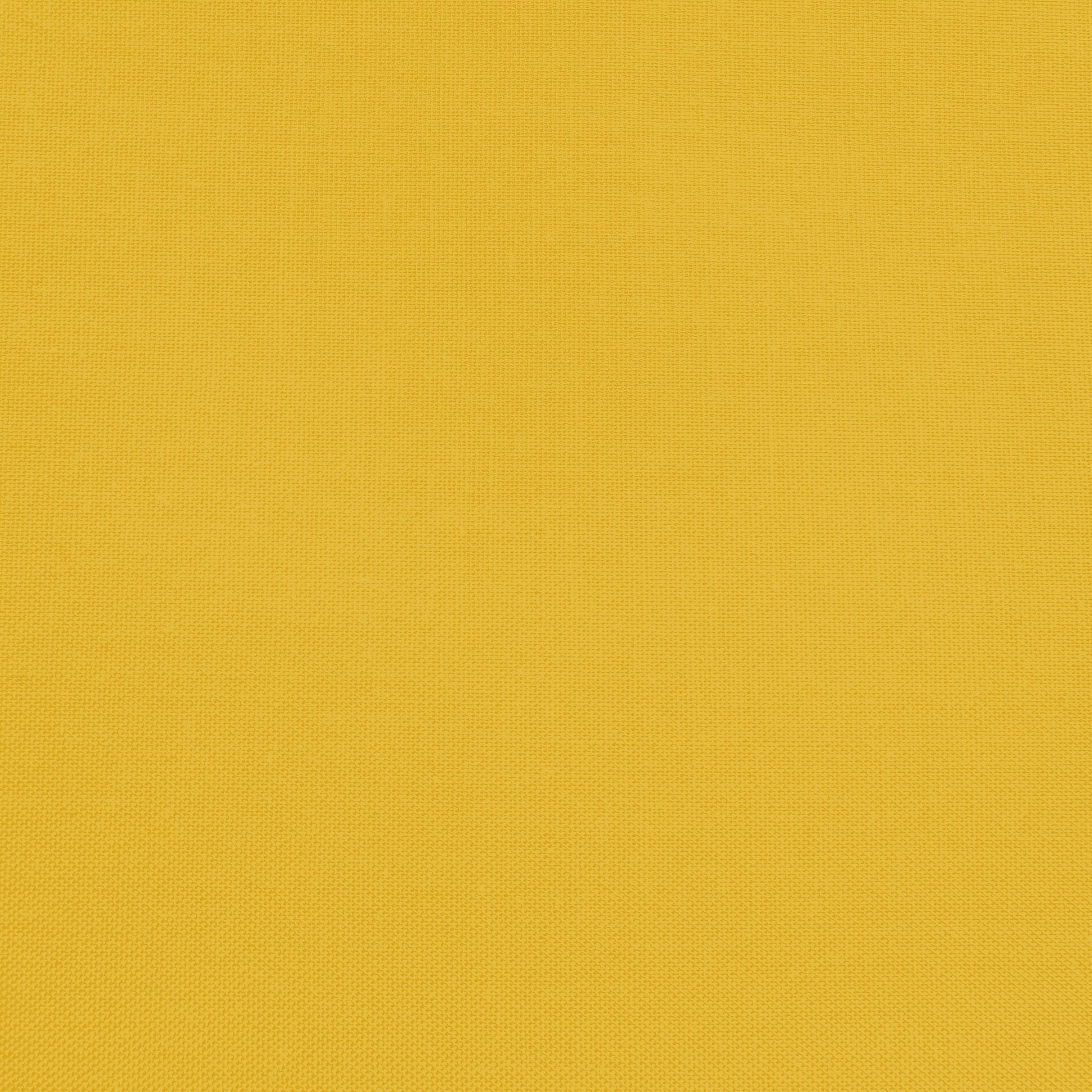 Confetti Cotton - Riley Mustard - Sewfinity.com