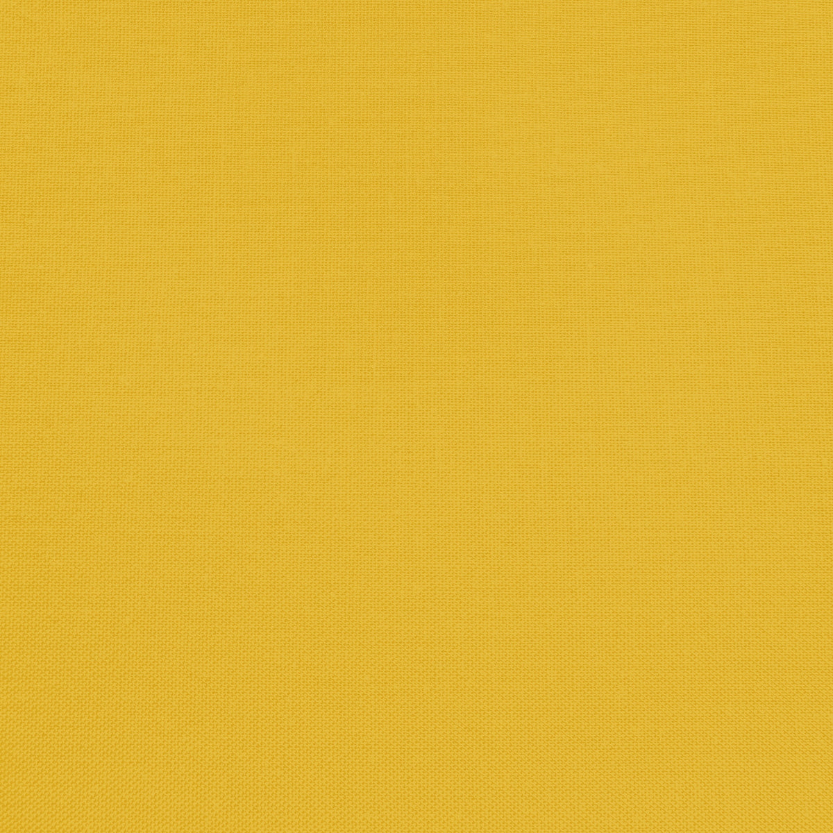 Confetti Cotton - Riley Mustard - Sewfinity.com