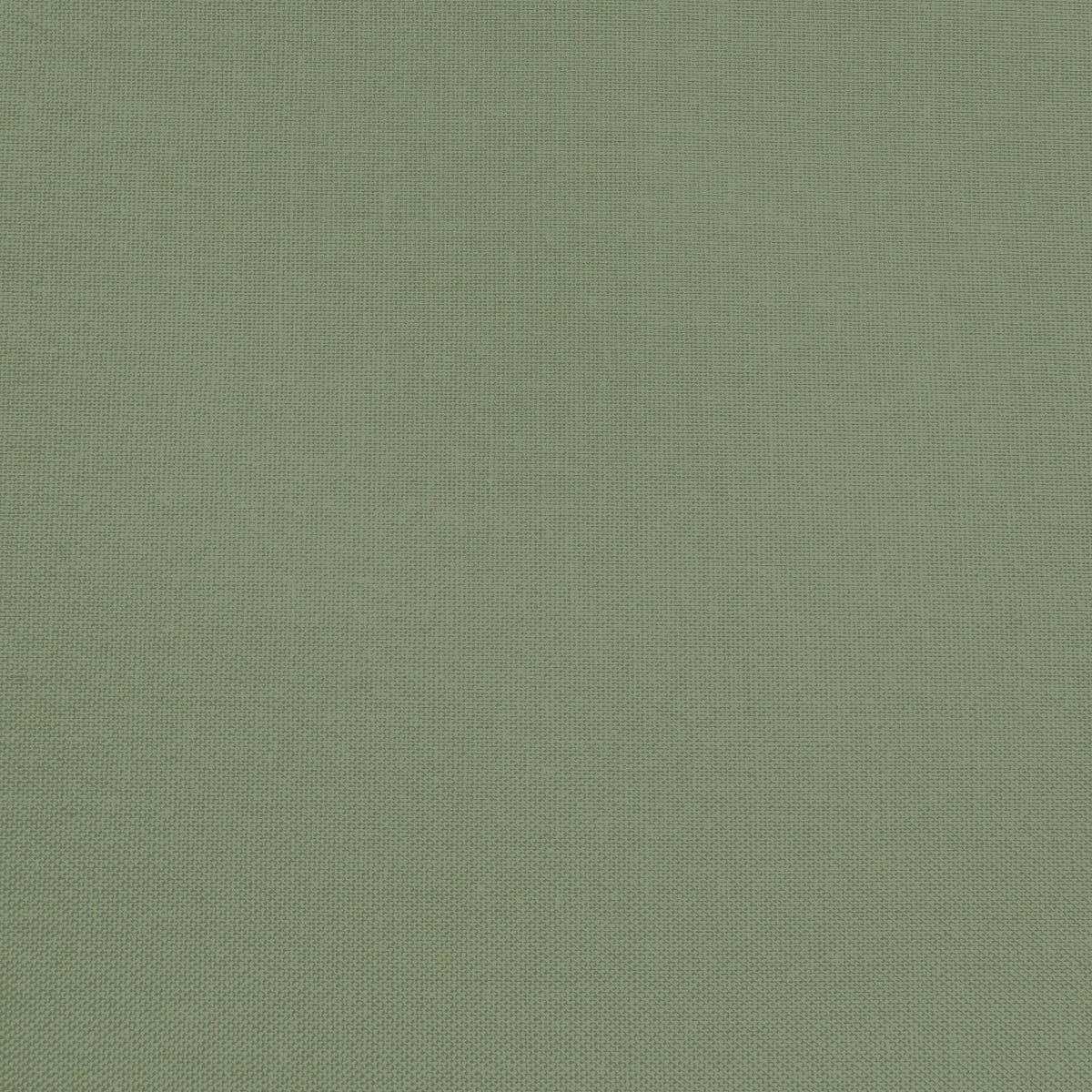 Confetti Cotton - Rosemary - Sewfinity.com
