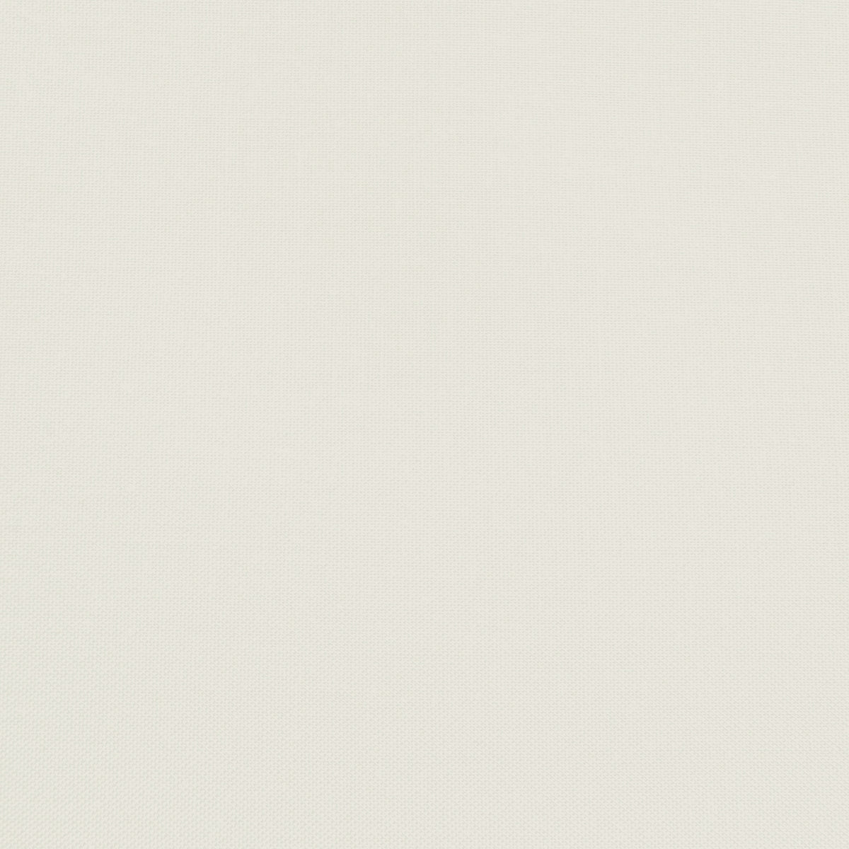 Confetti Cotton - Sand Dollar - Sewfinity.com