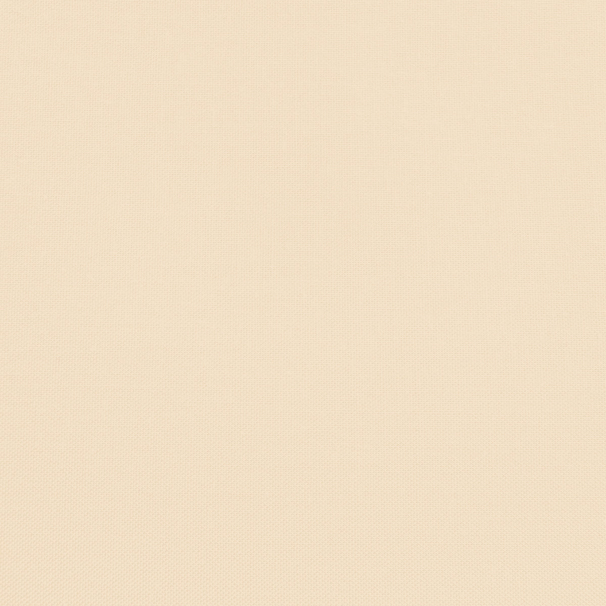 Confetti Cotton - Sesame - Sewfinity.com