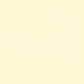 Confetti Cotton - Sorbet - Sewfinity.com