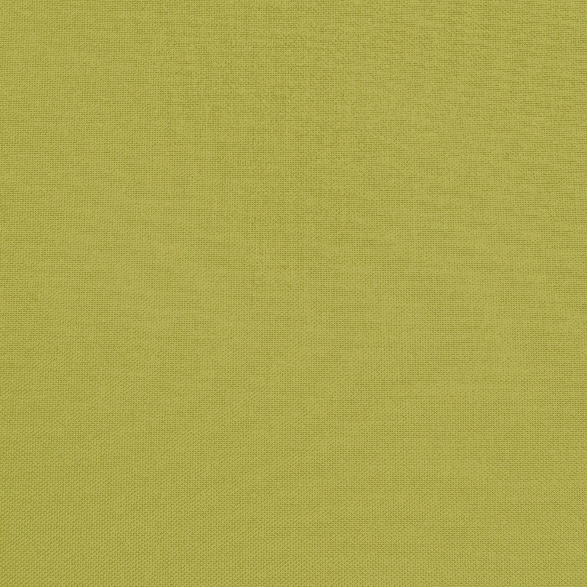 Confetti Cotton - Split Pea - Sewfinity.com