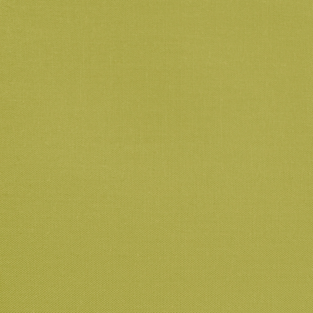 Confetti Cotton - Split Pea - Sewfinity.com