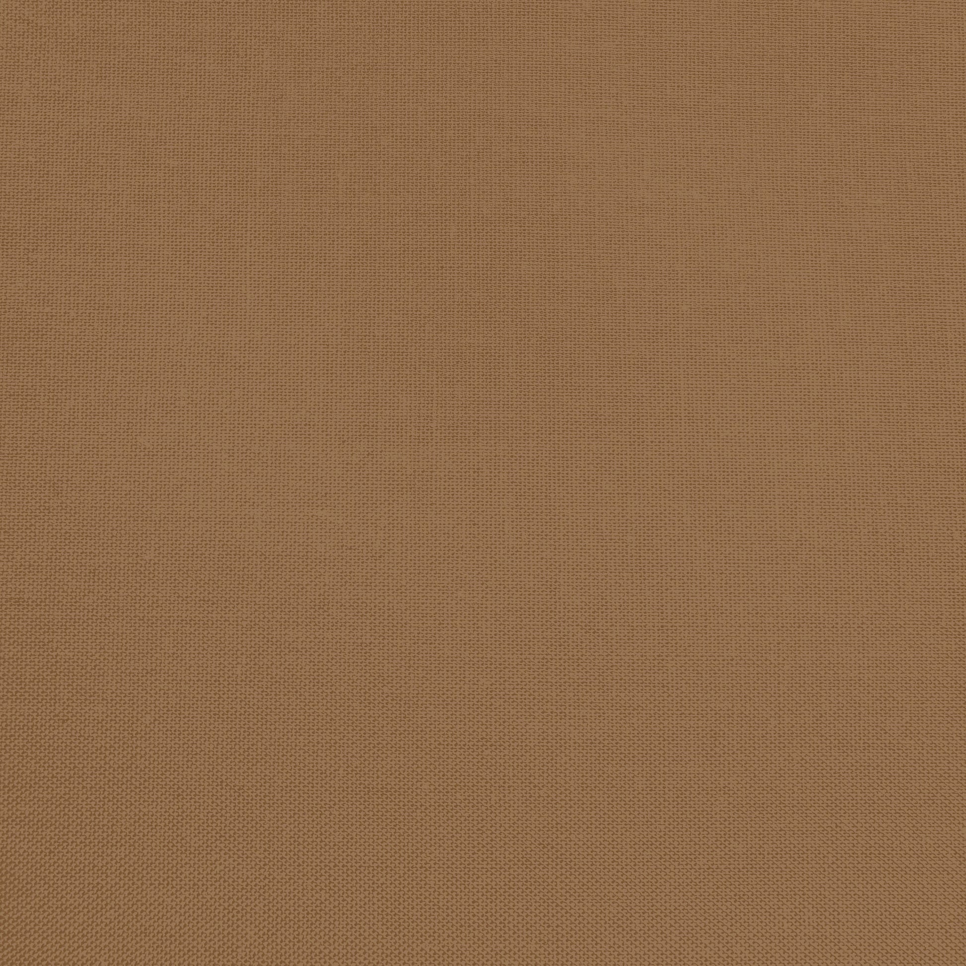 Confetti Cotton - Teddy Bear - Sewfinity.com