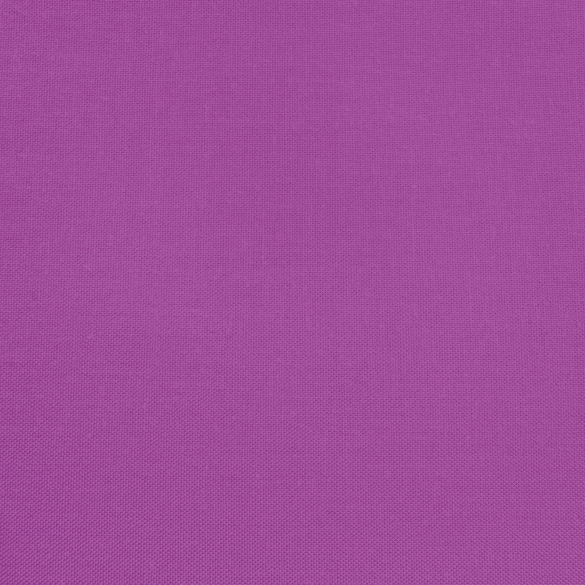 Confetti Cotton - Thistle - Sewfinity.com